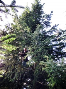 It's true, guys from Oregon hug trees.