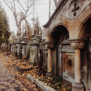 The Lychakiv Cemetery is stunning in the fall